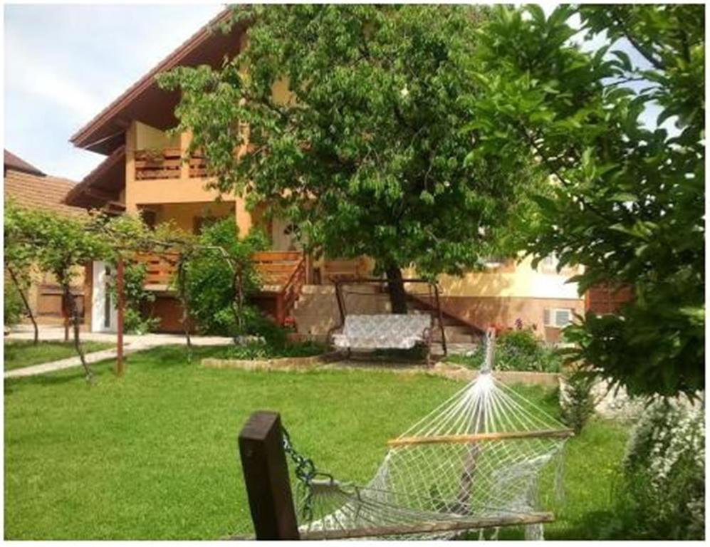 Pensiunea Pentru Tine Prietene Arcani Habitación foto