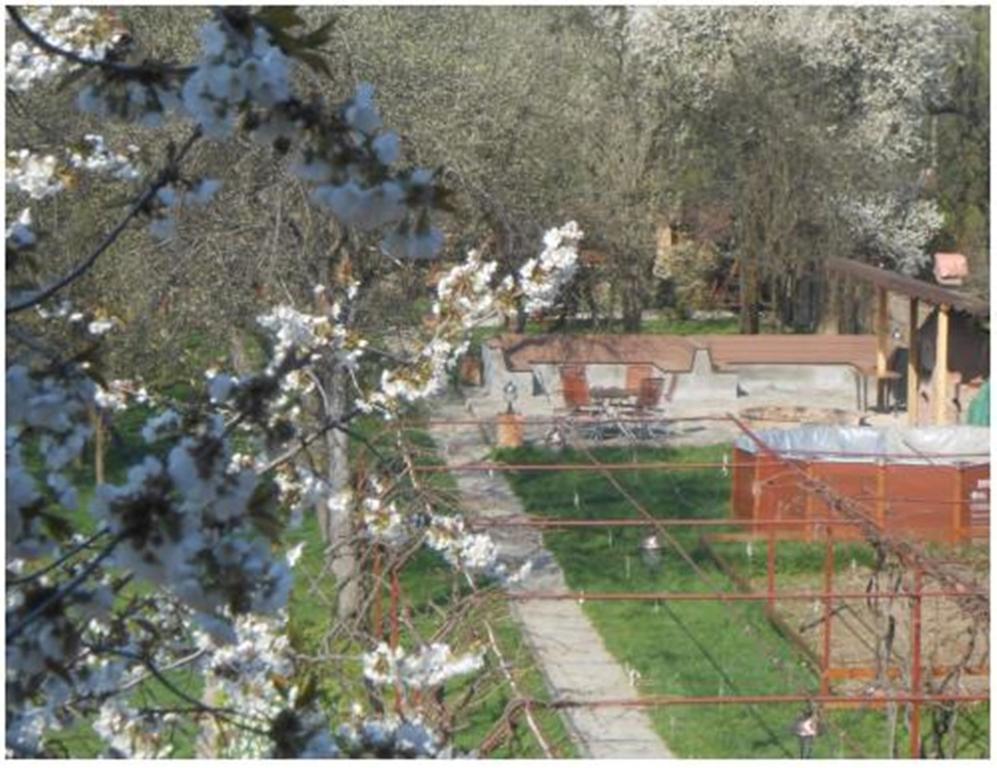 Pensiunea Pentru Tine Prietene Arcani Habitación foto